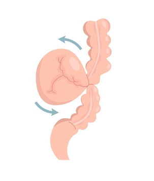tratamiento digestivo