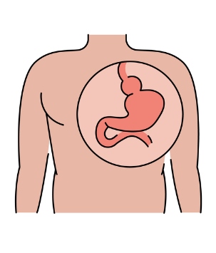 procedimientos digestivos